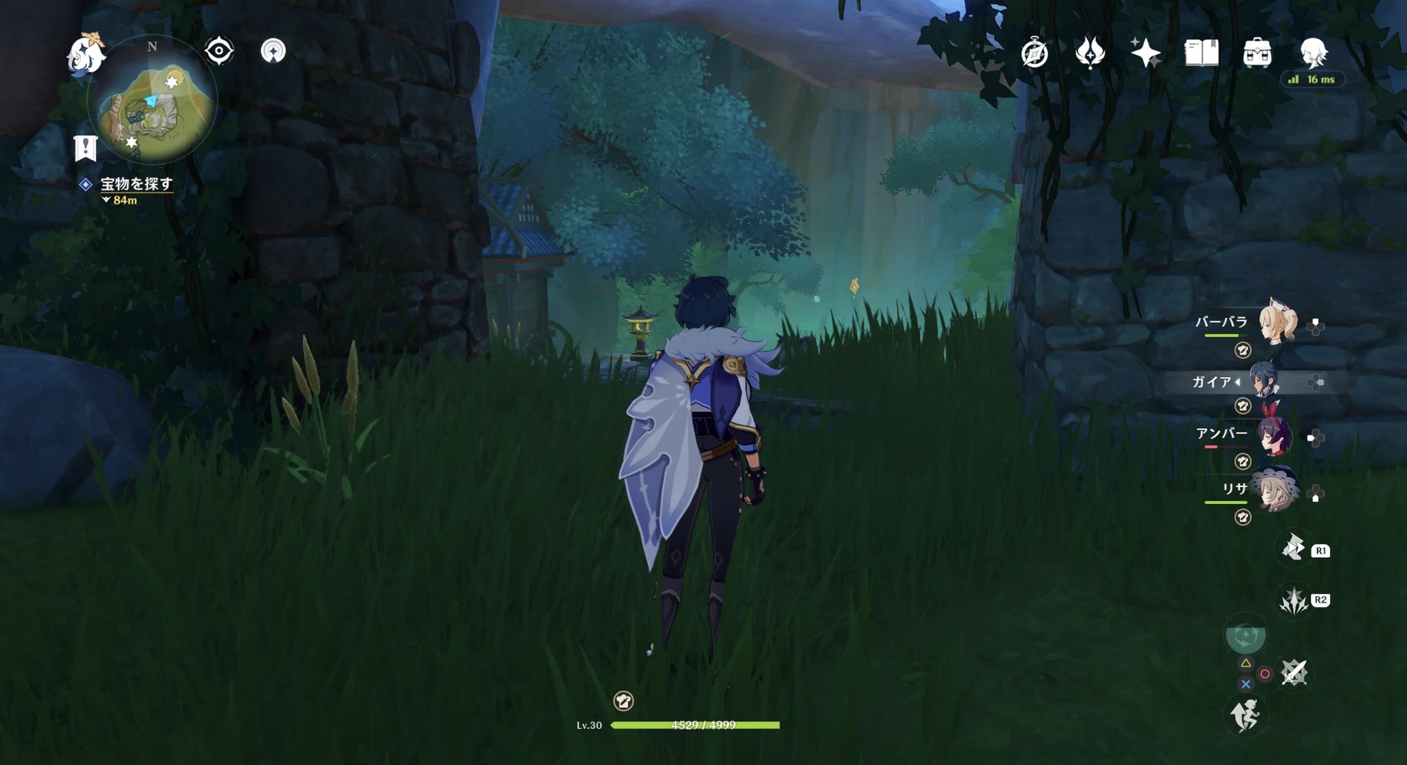 ①の岩神の瞳のとり方