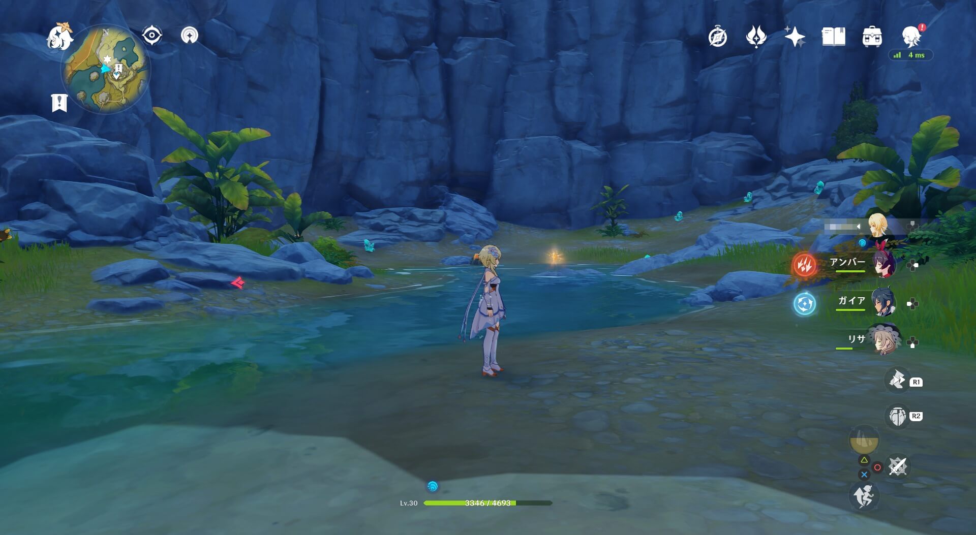 ④の岩神の瞳のとり方