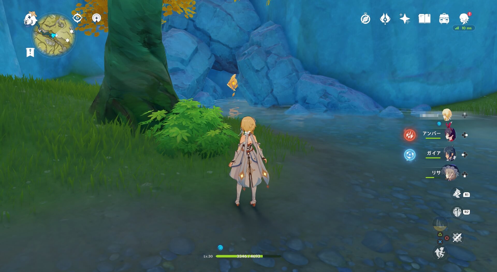 ⑪の岩神の瞳のとり方