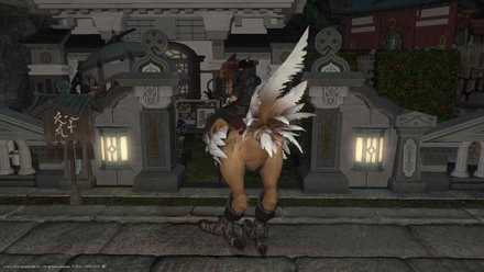 グランチョコボ