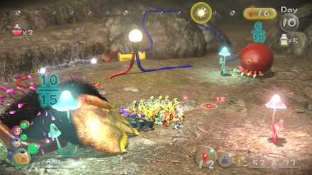 果実とオオバケカガミを回収する