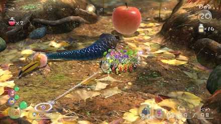 余裕があれば果実の回収作業に入る