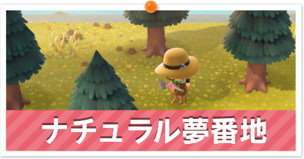 ナチュラル夢番地一覧