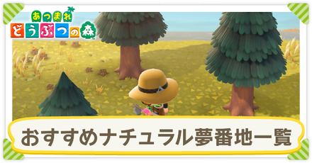 おすすめナチュラル夢番地一覧