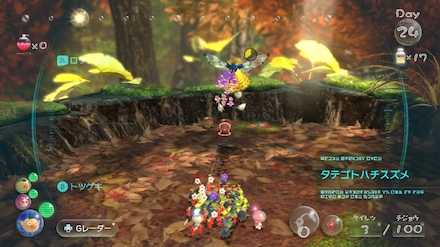 タテゴトハチスズメを倒す