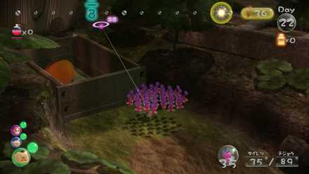 再会の花園で3個目を入手可能