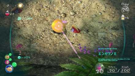 始まりの森で4個目も入手可能