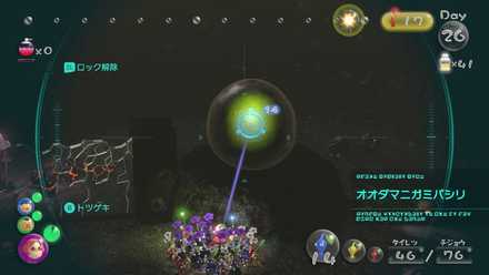 迷いの雪原で2個目を入手可能