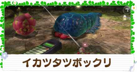 イカツタツボックリの入手方法