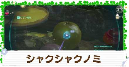 シャクシャクノミの入手方法