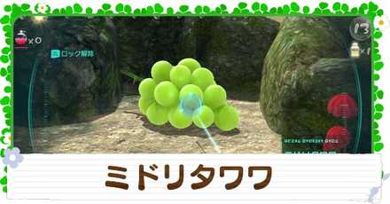 ミドリタワワの入手方法