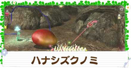 ハナシズクノミの入手方法