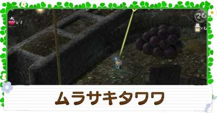 ムラサキタワワの入手方法