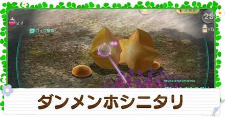 ダンメンホシニタリの入手方法