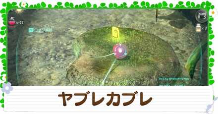 ヤブレカブレの入手方法