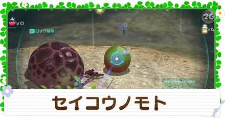 セイコウノモトの入手方法