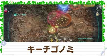 キーチゴノミの入手方法