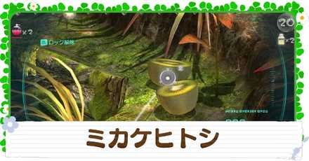 ミカケヒトシの入手方法