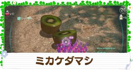 ミカケダマシの入手方法