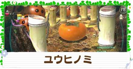 ユウヒノミの入手方法