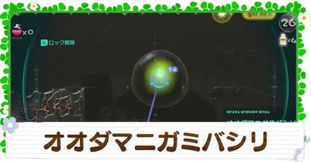 オオダマニガミバシリの入手方法