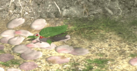 ハンボのアイコン