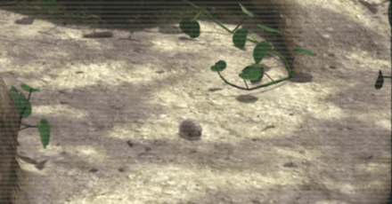 ウジンコ♀のアイコン