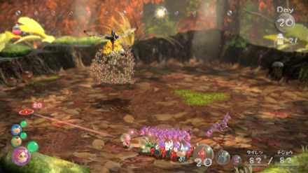 突進のタイミングはハチスズメの目を見る