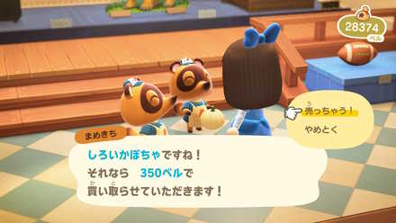 かぼちゃを売る