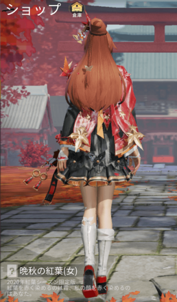 晩秋の紅葉画像