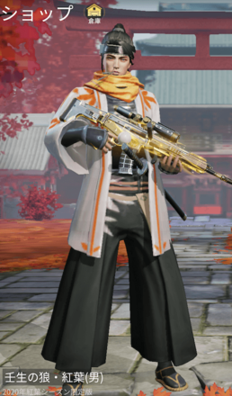 壬生の狼・紅葉画像