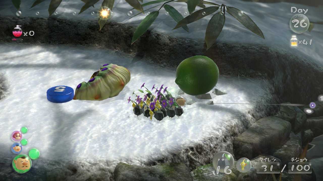 迷いの雪原で3個目を入手