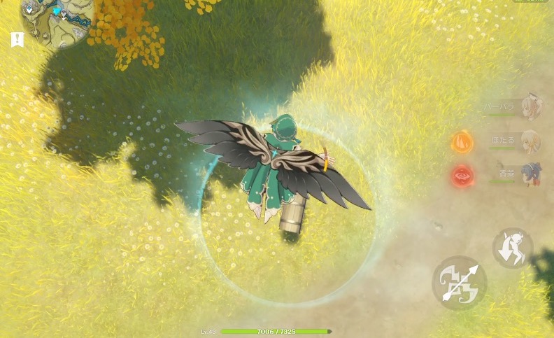 風の翼で飛んで上から入ろう