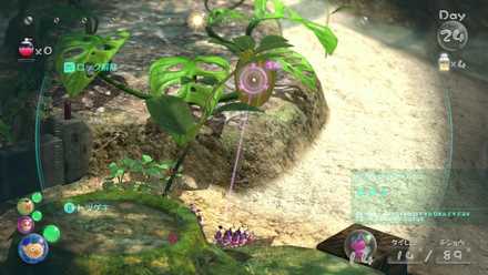 2個目は始まりの森で入手可能