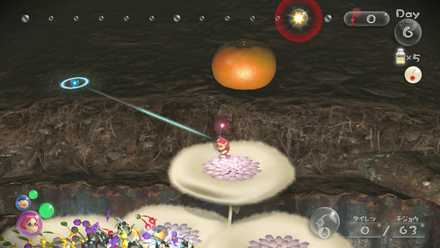 1個目は迷いの雪原で入手可能