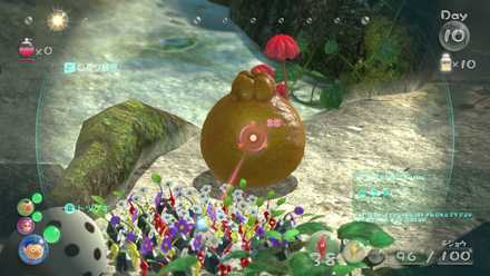 1個目は始まりの森で入手可能