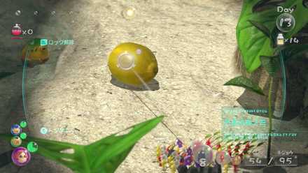 2個目は始まりの森で入手可能