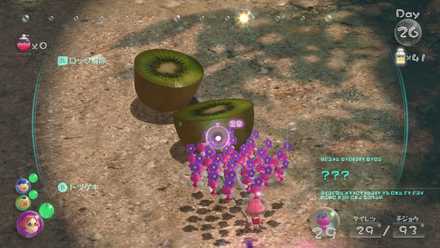 2個目は始まりの森で入手可能