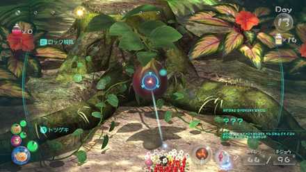 1個目は始まりの森で入手可能