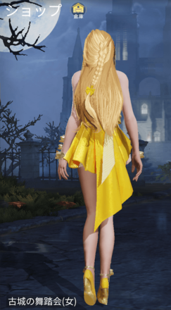 古城の舞踏会画像