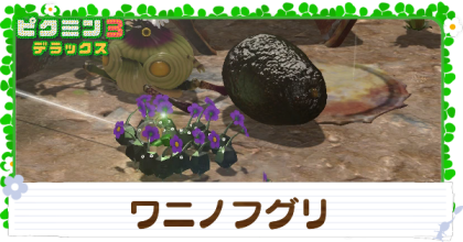 ワニノフグリの入手方法