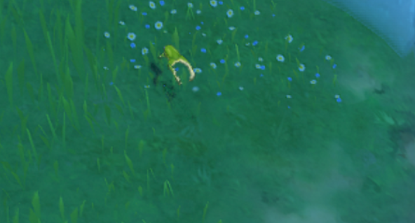 カエル.png
