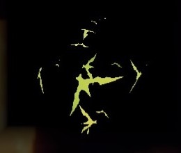 ナイトバット・シルフの画像