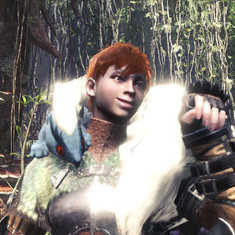 カガチのエリマキの画像