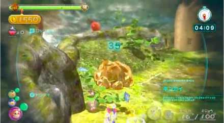 仕上げにキンカイ回収と果実回収