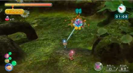 キンカイと果実の回収作業