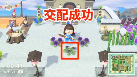 あつ森 花の交配表と効率的な植え方 あつまれどうぶつの森 ゲームエイト