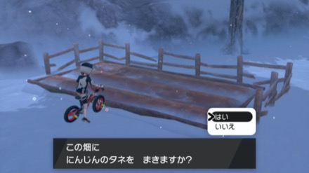 にんじんのタネ