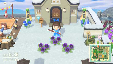 あつ森 花の交配表と効率的な植え方 あつまれどうぶつの森 ゲームエイト