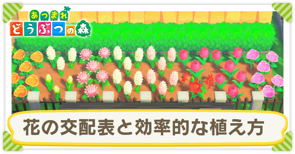 花の交配